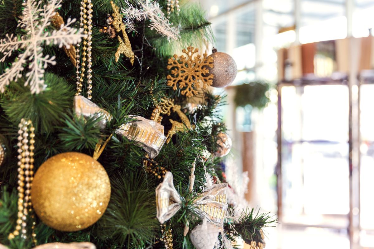 Christmas Party Nights Ipswich.